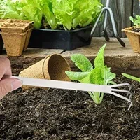 تصویر 1 از نشا گوجه فرنگی صادراتی با کیفیت تضمینی